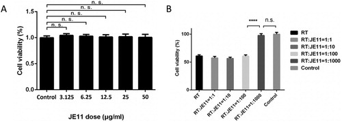Figure 5. (A) Cell growth assay to detect the effect of JE11 on HeLa cell growth. (B) Neutralization of ricin toxicity by the JE11 ScFv.