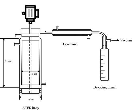 Figure 3. Schematic representation of the experimental apparatus.