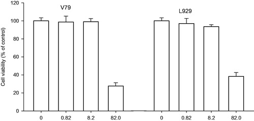 Figure 2. Cytotoxic effect of PBA 0.1, 1.0 and 10 mg/ml (0.82, 8.2 and 82 mM) on hamster lung fibroblast V79 and mouse dermal fibroblasts L929 cell lines. Cells survival rate measured by crystal violet assay. Absorbance at 590 nm is proportional to the number of surviving cells. Each experiment was done in quadruplicate. Inhibition of cell growth I (%) relative to controls was calculated according to the formula: I = (C − T)/C × 100, where T denotes the mean absorbance of treated cells, and C indicates the mean absorbance of untreated cells, without the addition of PBA.