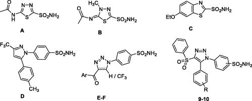 Figure 1. Clinically used drugs as hCA inhibitors (A) acetazolamide, (B) methazolamide, (C) ethoxzolamide, (D) celecoxib;Citation7 1,2,3-triazole based reported hCA inhibitors (E–F)Citation16 along with newly designed and synthesised target compounds 9–10.