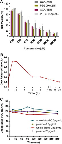 Figure 2. Cell viability, release activity and stability of PEG-OXA nanoparticle. (A) The cell viability rate of OXA and PEG-OXA NPs. (B) The release profile of OXA in HT-29 cells incubated with PEG-OXA NPs. (C) Blood and plasma stability of PEG-OXA NPs in vitro.