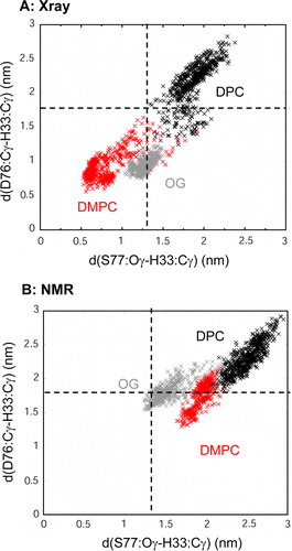 Figure 6.  Scatter plot of the potential active site geometry as defined by the pair of distances: (i) from D76 Cγ to H33 Cγ; and (ii) from S77 Oγ to H33 Cγ. Distances were measured every 0.025 ns. (A) X-ray structure: micelle vs. bilayer simulations, i.e. Sim1 (DMPC, red), Sim5 (DPC, black) and Sim6 (OG, grey); (B) NMR structure: micelle vs. bilayer simulations, i.e. Sim7 (DMPC, red), Sim8 (DPC, black) and Sim9 (OG, grey). The broken horizontal and vertical lines represent the corresponding pair of distances in the X-ray structure (i.e. 1THQ). This figure is reproduced in colour in Molecular Membrane Biology online.