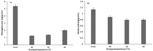 Figure 5. Effect of drying temperature on the content of A: chlorogenic and B: ferulic acid.