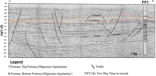Figure 2. Seismic section (L2) calibrated to the PP1 petroleum well showing Oligocene faulted horizon extension and thickness variations according the basin structuring in subsiding synclines and resistant anticlines.