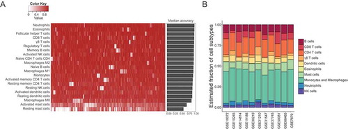 Figure 3. Robustness and accuracy of inferring cell compositions using the refined new signature gene matrix, and the comparability of immune cell compositions among 11 datasets. (A) The accuracy of estimating immune cell fractions in simulated mixture gene expression profiles using the refined new signature gene matrix. Heatmap displayed accuracy for each type of immune cells in 1,000 simulations, and barplot showed the median accuracy for each cell subtype in the simulations. (B) Mean tumor immune cell compositions estimated by CIBERSORT across 11 datasets. These datasets were comparable and had similar tumor immune cell infiltration levels.