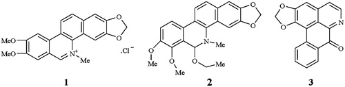 Figure 1. The structures of the alkaloids from the Z. nitidum roots. 1: nitidine chloride (NC); 2: ethoxychelerythrine; 3: liriodenine.