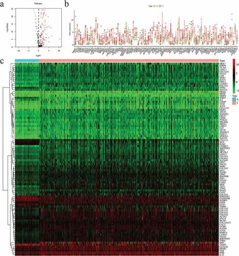 Figure 1. Differentially expressed 96 EMT-associated genes (EAGs) in hepatocellular carcinoma (HCC) and non-tumor hepatic samples. (a) The volcano map of 96 screened EAGs. (b) The expression of 96 screened EAGs in a boxplot. (c) The expression of 96 screened EAGs in a heatmap. EMT: Epithelial-mesenchymal-transition.