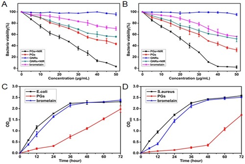 Figure 2 The bacterial viability of (A) E. coli and (B) S. aureus incubated with different concentrations of bromelain, GNRs or PGs upon NIR irradiation for 20 mins and an un-illuminated control. The growth curves of (C) E. coli and (D) S. aureus treated with 40 μg∙mL−1 of bromelain or PGs without illumination. Data points shown are the mean values ± standard error of the mean (SEM) from three independent experiments.