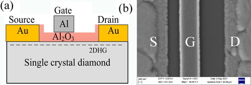 Figure 1. (a) Cross-sectional schematic and (b) SEM image of the H-diamond MOSFET.