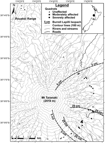 Figure 1 Map of study site on Mt Taranaki (New Zealand), showing the location of the vegetation survey quadrats at the treeline position and the distribution of the AD 1655 Burrell Lapilli (after Druce Citation1966).