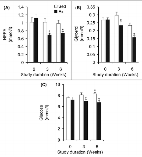 Figure 3. NEFA, glycerol, and glucose concentrations are lower in the blood of endurance-trained (Ex) than sedentary (Sed) under sub-maximal treadmill running of similar relative intensity. *P < 0.05 vs. Sed animals at weeks 3 and 6.#P < 0.05 vs. Sed and Ex at week 0. Two-way ANOVA, n = 8.