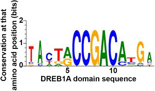 Figure 9. Sequence profile of the DREB1A DNA motif identified from the ATHMAP database.