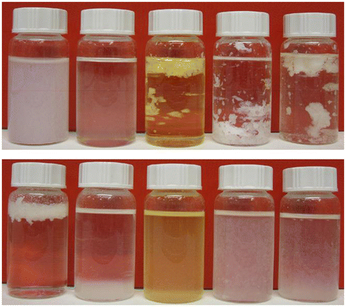 Figure 5. Dispersions of untreated MFC (top image) and MFC-ODA (bottom image) in water, toluene, EU-diesel, dodecane, and FT-diesel (from left to right). Modified from Ref. [Citation89], with permission from Elsevier (© Elsevier 2010).