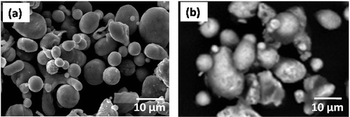 Figure 2. FESEM images of (a) atomized copper, (b) atomized nickel.