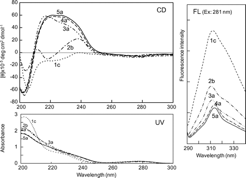 Fig. 2. CD, UV, and FL (emission spectra excited at 281 nm) spectra of EC (1c) and EC oligomers (2b, 3a, 4a, 5a) in water.