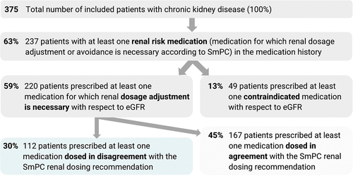 Figure 2. The number of patients with renal risk medications.