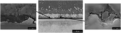 6. Images (BSE–SEM) of Mg–AZ31/Ni–Cu/Ti–6Al–4V joint interface after bonding at 515°C and 0·35 MPa for 20 min