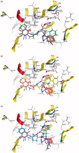 Figure 6. Molecule 16 (a), 26 (b) and 42 (c) docked into the β5 binding site. Molecule 10 docked in the same binding site is reported for comparison.