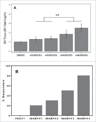 Figure 6. Neutralizing effects of sera from mice immunized with 10 µg of Ser E rMOMP/SPA08 formulations (F1, SPA08-1; F2, SPA08-2; F3, SPA08-3; F4, SPA08-4). (A) Neutralizing titers as the inverse dilution at which 50% of cells are not infected, (B) percent of mice with neutralizing serum response. Similar results were obtained in mice immunized with 34 µg of Ser E rMOMP/SPA08 formulations. Connecting lines representing the statistical comparison indicate that either of the selected 2 groups is significantly different to either of the other 2 groups. ** p < 0.01.