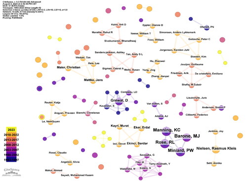 Figure 2. Co-authorship network.