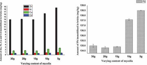 Figure 2. Variation in concentrations of Zn, Ni, Cu, Cd and Pb immobilised in bricks containing varying content of harvested mycelia