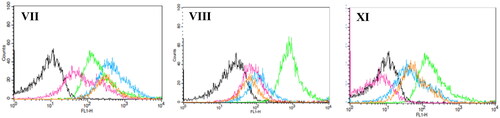 Figure 6. Histograms of flow cytometry of Rho 123 retention in CEM/ADR 5000 cells after 1.5 h treatment with three concentrations (IC50 (pink), 50 µM (blue) and 100 µM (orange)) of a compounds VII, VIII and XI compared to the treatment with 50 µM verapamil (positive control, green). All experiments were repeated three times.