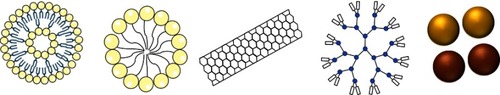 Figure 1 Schematic representation of different delivery systems. From left to right; liposomes, micelles, carbon nanotubes, dendrimer and gold (yellow) and iron (brown) nanoparticles.