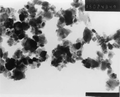 Figure 1. TEM micrograph of the CuO particles (×150,000) Citation25.