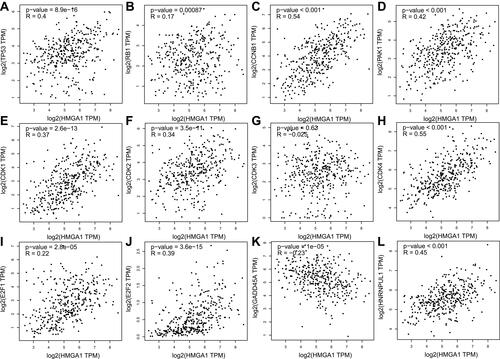 Figure 5 HMGA1 mRNA expression was respectively significant positive correlation to the mRNA expressions of TP53 (R=0.4, P<0.001), RB1 (R=0.17, P<0.001), CCNB1 (R=0.54, P<0.001), PAK1 (R=0.42, P<0.001), CDK1 (R=0.37, P<0.001), CDK2 (R=0.34, P<0.001), CDK4 (R=0.55, P<0.001), E2F1 (R=0.22, P<0.001), E2F2 (R=0.39, P<0.001), HNRNPUL1 (R=0.45, P<0.001), while was significant negative correlation to GADD45A (R=−0.23, P<0.001) (A–L).