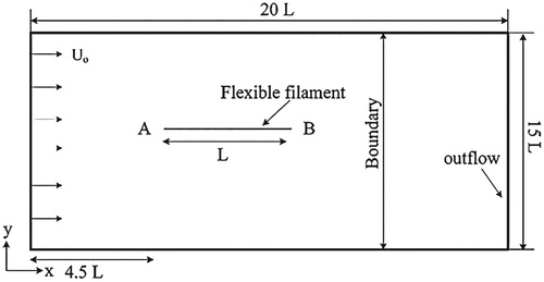 Figure 9. The domain and boundary conditions for the flexible filament 2D problem.
