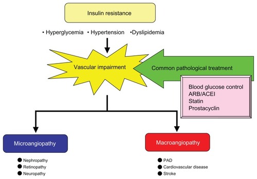 Figure 7 Development of vascular impairment in insulin-resistant state and treatment.