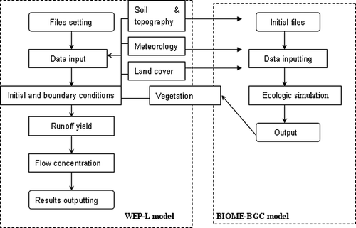 Fig. 3 Flowchart of the model.