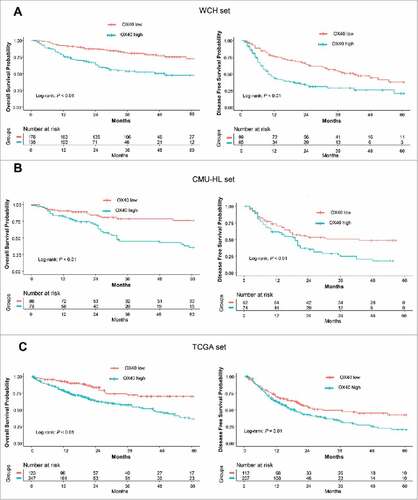 Figure 3. Prognostic significance of OX40 expression. (A) OS (left) and DFS (right) curves for the high- and low-OX40 expression groups in the WCH set. Log-rank test P values and life tables are also shown. (B) OS (left) and DFS (right) curves for the high- and low-OX40 expression groups in the CMU_HL set. (C) OS (left) and DFS (right) curves for the high- and low-OX40 expression groups in the TCGA set.