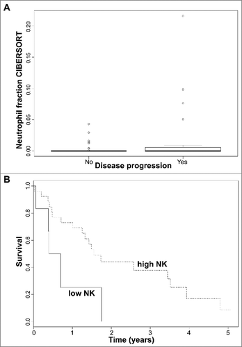 Figure 4. (A) Neutrophil immune cell fraction obtained in silico using CIBERSORT according to disease progression status in early stage (≤IIA) CTCL samples. Quartile boxplots are shown. (B) Survival analysis plots of late stage (IV) CTCL samples according to NK T lymphocyte fraction. Samples are dichotomized according to NK T lymphocyte immune cell fraction obtained in silico using CIBERSORT; samples with fraction below 0.05 labelled as low (solid line) and samples with fraction above 0.05 labelled as high (dotted line). Survival plot corresponds to Cox proportional hazards regression models.