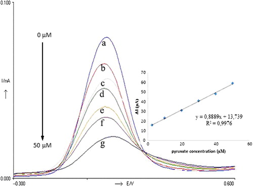 Figure 2. DP Voltammograms obtained for different concentration of pyruvate; a (0 μM), b (2.5 μM), c (10 μM), d (20 μM), e (30 μM), f (40 μM), g (50 μM). Inset shows the relationship between catalytic currents and pyruvate concentrations. Conditions: pH 6.0, 50 mM phosphate buffer (containing 0.1 M KCl and 5.0 mM K3Fe(CN)6) at 30°C. The percentage of glutaraldehyde and the activity of pyruvate oxidase were kept constant to be 2.5% and 0.356 UmL− 1, respectively.