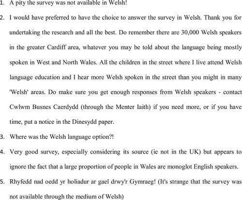 Figure 3. A sample of comments from the end of an online questionnaire about bilingualism in the workplace. Taken from the research of Elisabeth.