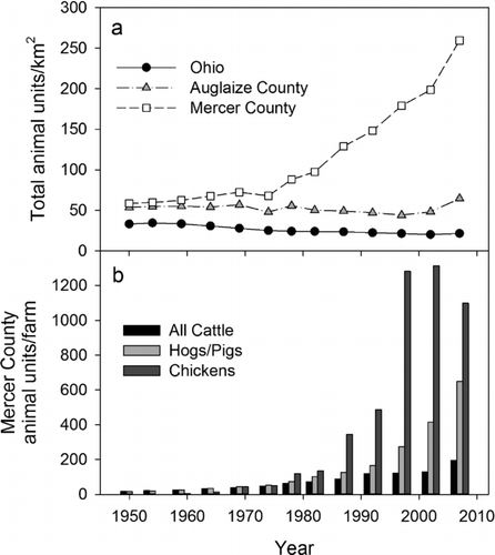Figure 3 Comparisons of (a) total (= All Cattle + Hogs/Pigs + Chickens + Turkeys) animal unit densities in Mercer and Auglaize counties to statewide densities, and (b) animal units/farm within Mercer County during 1950–2007. Numbers of animals derived from US Censuses of Agriculture reports (USBC Citation1952–Citation1994, USDA Citation1999–Citation2009) were standardized to animal units (1 AU = the average weight of a beef cow) using conversions listed in the Grand Lake St. Marys/Wabash Watershed Action Plan (GLWWA Citation2008).