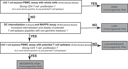 Figure 9. Proposed decision tree in support of mAb immunogenicity risk prediction. The number of donors used in each assay is indicated and correspond, for the T cell proliferation and DC internalization assays, to the minimal number of donors necessary to provide a consistent response with the assay positive and negative controls. For the MAPPS assay, a typical 10 donor panel samples >12 HLA-DR alleles and represent ~ 60% of the U.S. allele frequency