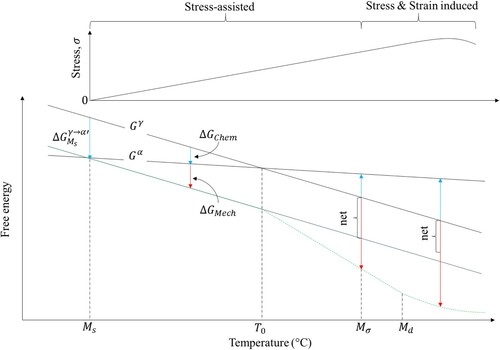 Figure 2. Variation in the Ms temperature owing to temperature and applied stress. Schematic redrawn from [Citation46].