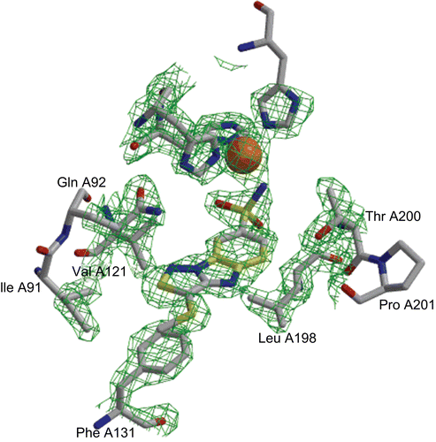 Figure 4.  A view of inhibitor 1d located in the active centre of hCA II. Residues which are in hydrophobic or van der Waals contact with the inhibitor molecule, are also shown. The electron density map is contoured at 1.2σ. The picture has been generated using MOLSCRIPT [Citation33], Raster3D [Citation34], and BOBSCRIPT [Citation35].