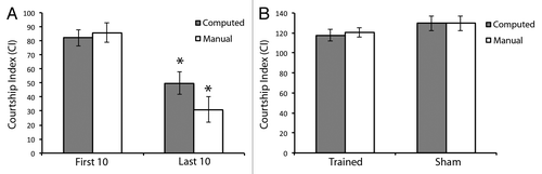 Figure 3. Software is capable of measuring successful learning with unsuccessful memory in Drosophila courtship suppression. Grey bars indicate courtship index (CI) as computed by the software program and subsequently subjected to arcsin square root transformation in each panel. White bars indicate CI as computed manually in each panel, as previously described,Citation24 and subsequently subjected to arcsin square root transformation. (A) denotes learning ability during the first 10 min and last 10 min of the courtship suppression assay training phase. Note significant learning is measured by both methods. n = 25. (B) denotes memory ability of trained flies compared with sham trained flies. Note unsuccessful memory in both cases. n = 25. Error bars represent ± SEM. *p < 0.05.