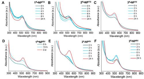 Figure 4 Stability studies of NHC-Au NPs. UV–vis spectra of NHC-Au NPs prepared from top-down and bottom-up approach, heated at 130°C in xylenes. (A) 1R•Au NPTD, (B) 2R•Au NPTD, (C) 3R•Au NPTD, (D) 1R•Au NPBU, (E) 2R•Au NPBU, (F) 3R•Au NPBU. Reprinted with permission from Man RWY, Li CH, MacLean MWA, et al. Ultrastable gold nanoparticles modified by bidentate N-heterocyclic carbene ligands. J Am Chem Soc. 2018;140:1576-1579. Copyright (2018) American Chemical Society.Citation63