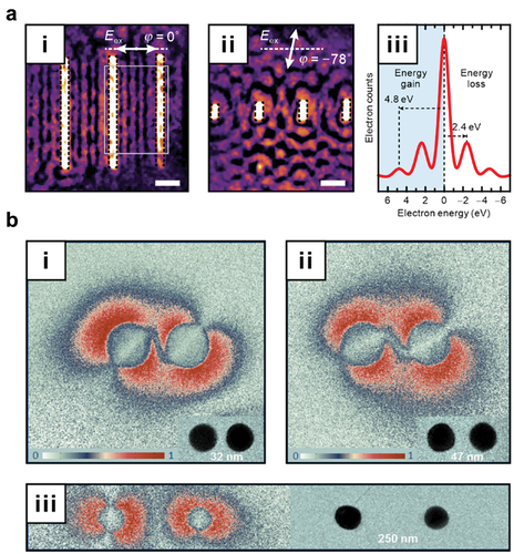 Figure 6. PINEM imaging in UEM. a. (i and ii) energy filtered images of the photoinduced surface plasmon polariton of a linear array of nanocavities using different linear polarization of the incident light. (iii) typical EEL spectrum obtained at time zero; electron energy gains are equivalent to an integer multiple of the energy of incident light. b. entanglement of the particles distanced by different lengths and dipolar fields and nanometre-scale void channels visualized in PINEM images. Parts ai–ii adapted with permission from [Citation53]. Copyright 2016 creative commons by 4.0. Part b adapted with permission from [Citation187], copyright 2012 American Chemical Society.