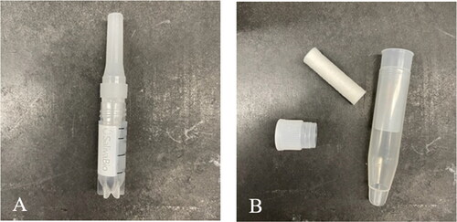 Figure 3. Two saliva collection devices tested for this study: (A) SalivaBio® sample collection aide attached to 2 mL cryovial, and (B) salivette® sample collection device showing cotton swab and cap separate from collection device.