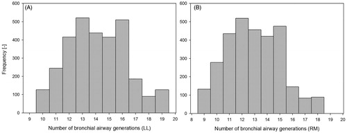 Figure 3. Distributions of the number of intra-lobar bronchial airway generations in the LL lobe (panel A) and RM lobe (panel B). Median generation numbers are 14.1 (GSD = 1.17) in the LL lobe and 12.6 (GSD = 1.18) in the RM lobe.