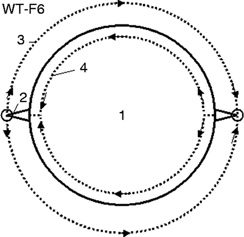 Figure 2 Using the ionosphere as a conducting medium for transferring a large amount of electric energy between continents and as a large storage of electric energy. Notations: 1, Earth; 2, space tower (or electron tube) about 100 km high; 3, conducting E layer of the Earth's ionosphere and; 4, back connection through the Earth.