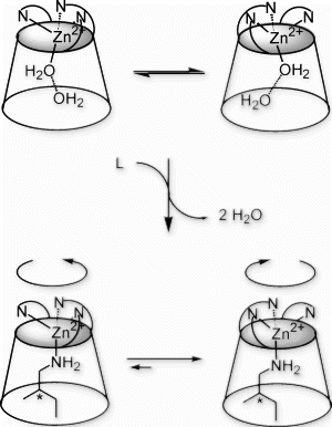 Formation of helical zinc complexes.