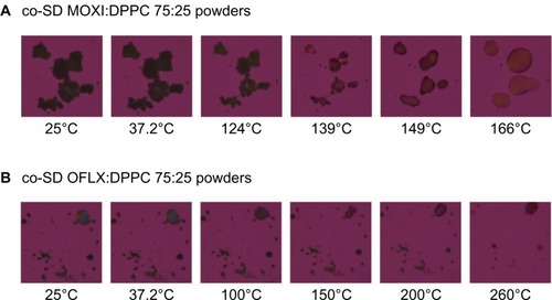 Figure 11 Representative HSM micrographs for co-SD MOXI:DPPC 75:25 versus co-SD OFLX:DPPC 75:25 powders.Abbreviations: co-SD, cospray-dried; MOXI, moxifloxacin; DPPC, dipalmitoylphosphatidylcholine; HSM, hot-stage microscopy; OFLX, ofloxacin.