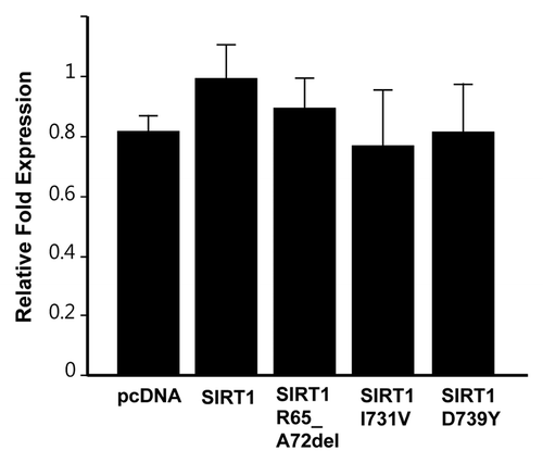 Figure 3. Telomerase activity in 293T cells overexpressing SIRT1 mutants. Cells were transfected with plasmids coding for indicated mutants or empty vector, and TRAP assays were conducted after 48 h of transfections. The graph shows mean ± s.d. from triplicate experiments.