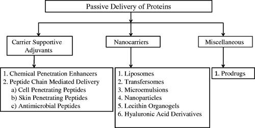 Figure 3. Strategies for passive delivery of proteins.